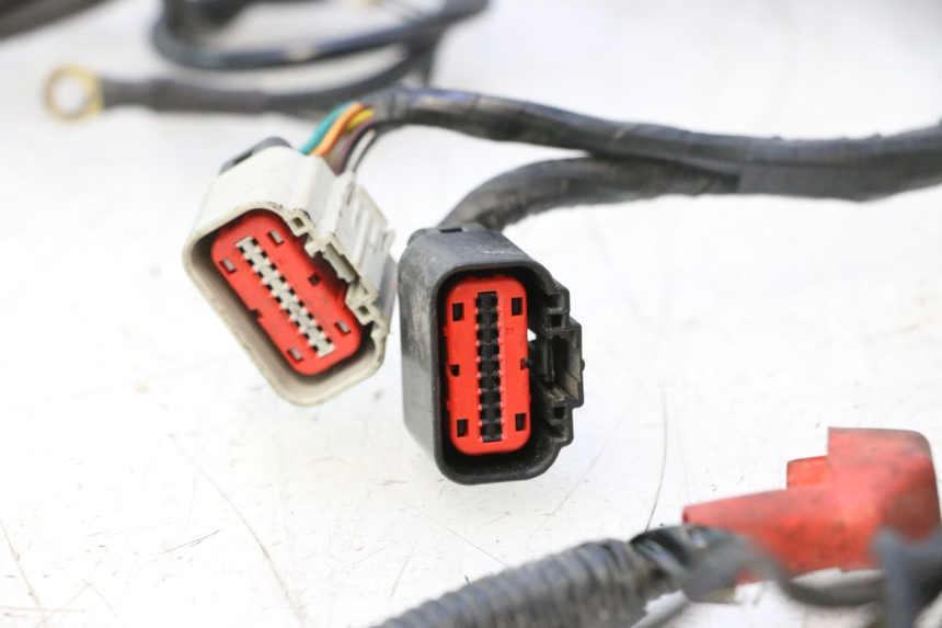 photo de WIRE HARNESS MASH SEVENTY FIVE 125 (2013 - 2021) - Zoom on usage condition