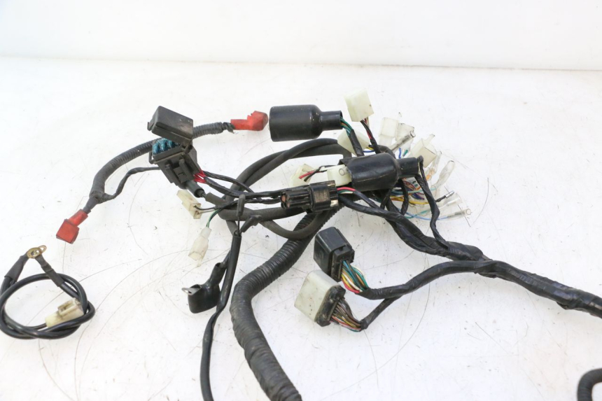 photo de WIRE HARNESS MASH SEVENTY FIVE 125 (2013 - 2021) - Alternative perspective