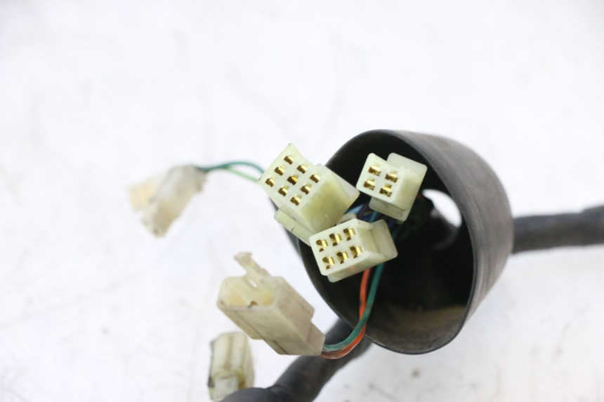 photo de WIRE HARNESS HONDA SH 125 (2001 - 2003) - Component detail