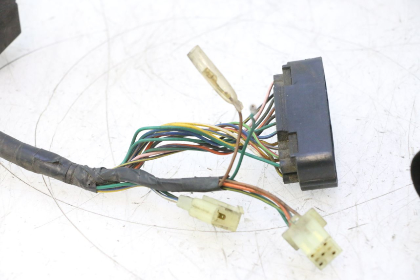photo de WIRE HARNESS HONDA SH 125 (2001 - 2003) - Alternative perspective