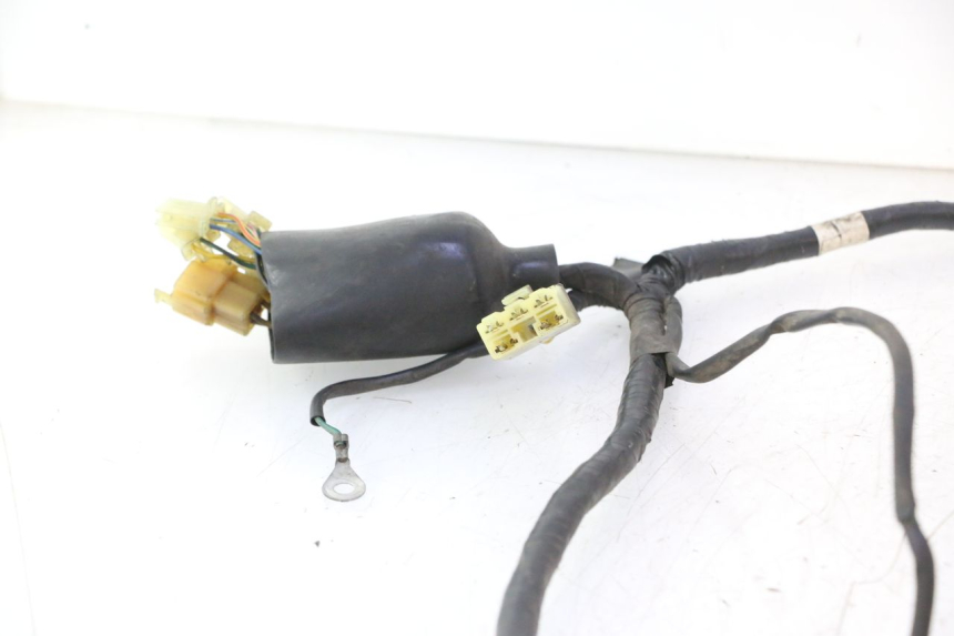 photo de WIRE HARNESS HONDA SH 125 (2001 - 2003) - Technical close-up