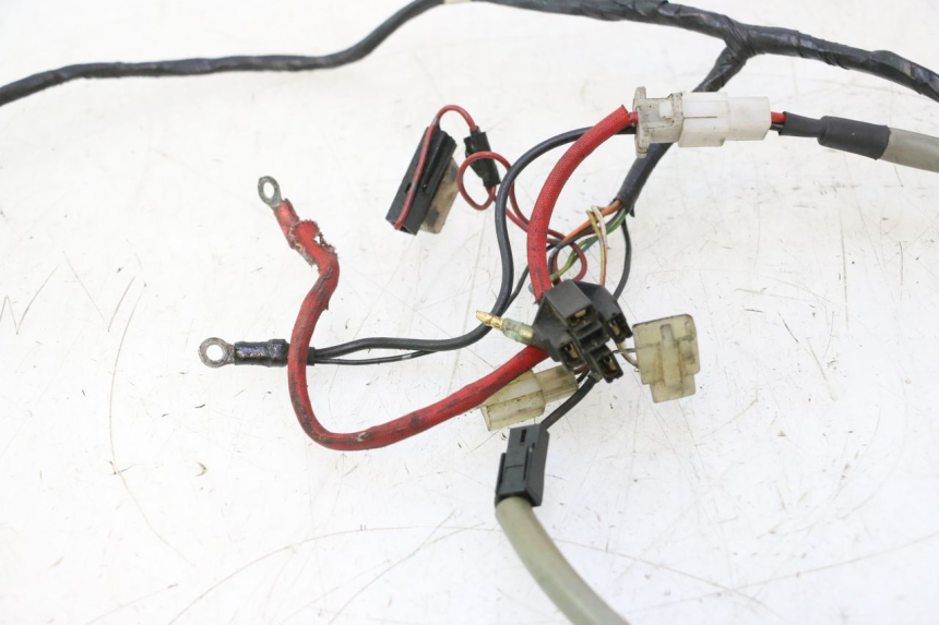 photo de WIRE HARNESS YAMAHA SLIDER 50 (1999 - 2004) - Zoom on usage condition