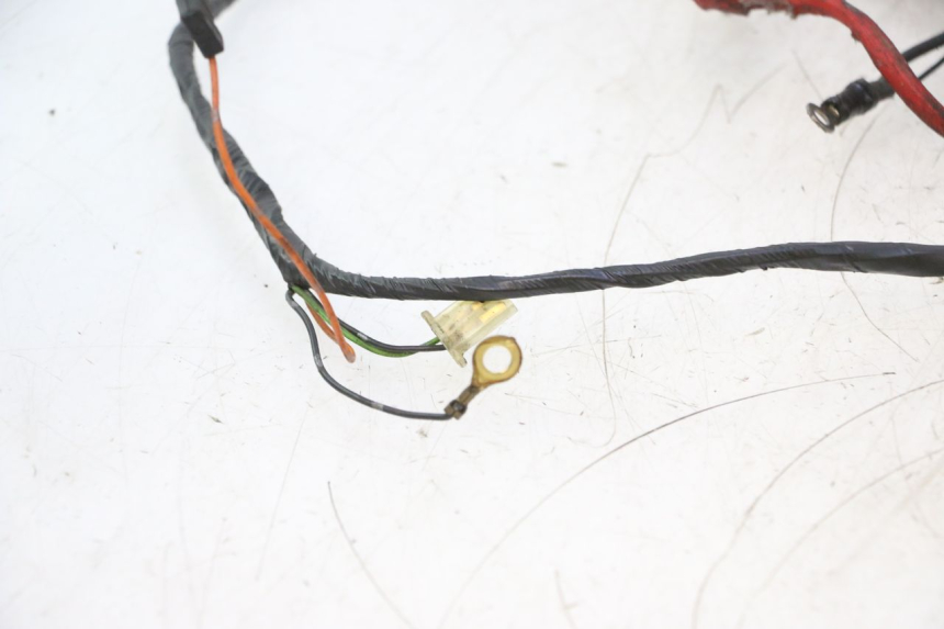 photo de WIRE HARNESS YAMAHA SLIDER 50 (1999 - 2004) - Surface and material condition