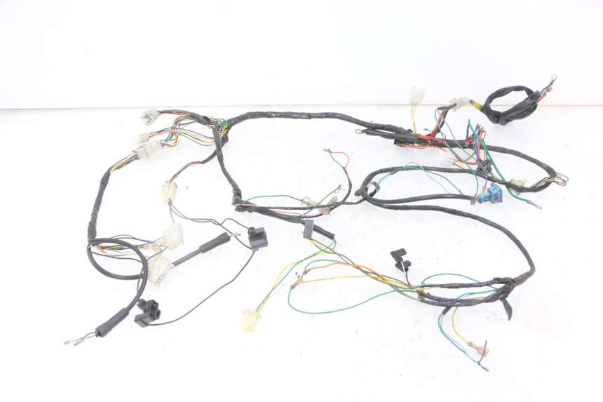 photo de WIRE HARNESS PEUGEOT SPEEDFIGHT 2 LC 50 (2000 - 2009) - Main view