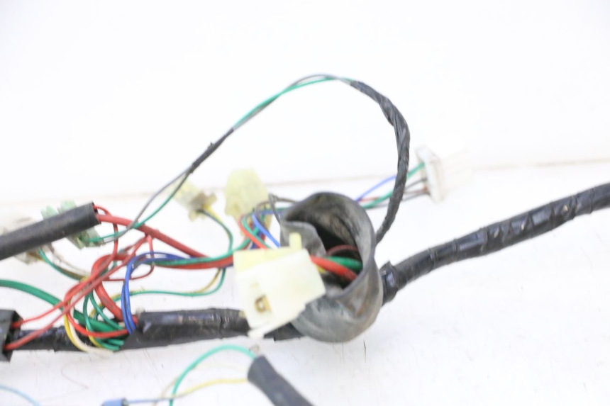 photo de WIRING HARNESS PEUGEOT SPEEDFIGHT LC 50 (1996 - 2002) - Fixing points details