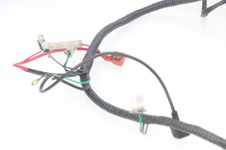 photo de WIRE HARNESS SACHS SPEEDJET 2T 50 (2007 - 2014) - Component detail