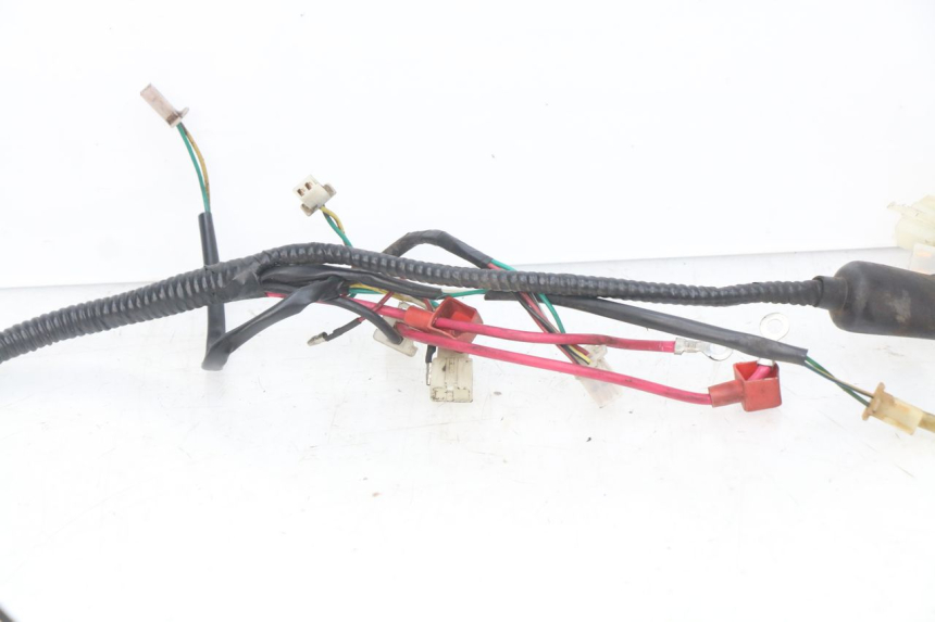 photo de WIRE HARNESS SACHS SPEEDJET 2T 50 (2007 - 2014) - Zoom on usage condition