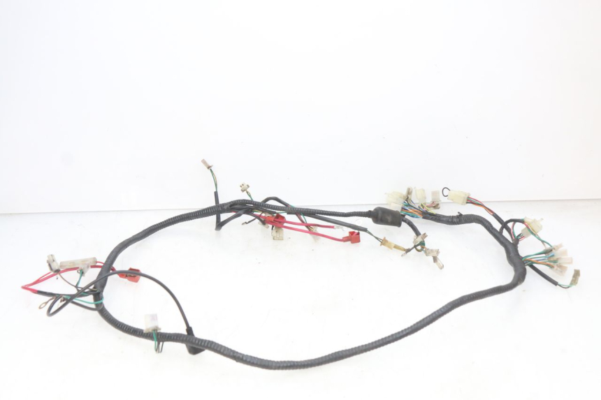 photo de WIRE HARNESS SACHS SPEEDJET 2T 50 (2007 - 2014) - Technical close-up