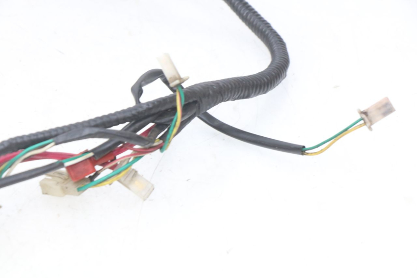 photo de WIRE HARNESS SACHS SPEEDJET 2T 50 (2007 - 2014) - Fixing points details