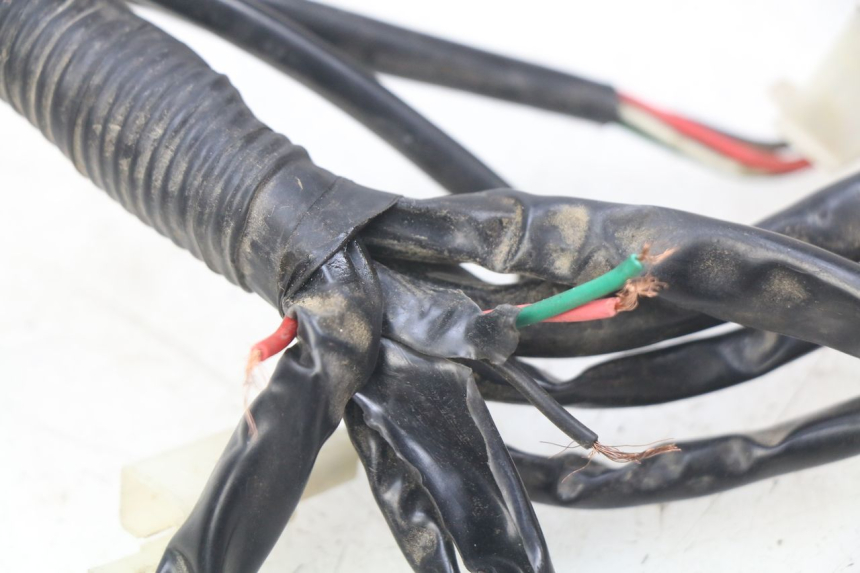 photo de WIRING HARNESS CHINESE QUAD SPEEDY DELUXE 125 - Alternative perspective