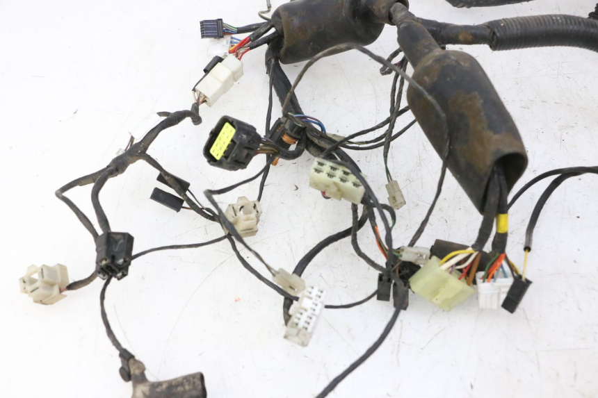 photo de WIRE HARNESS TRIUMPH SPRINT 900 (1995 - 1998) - Component detail