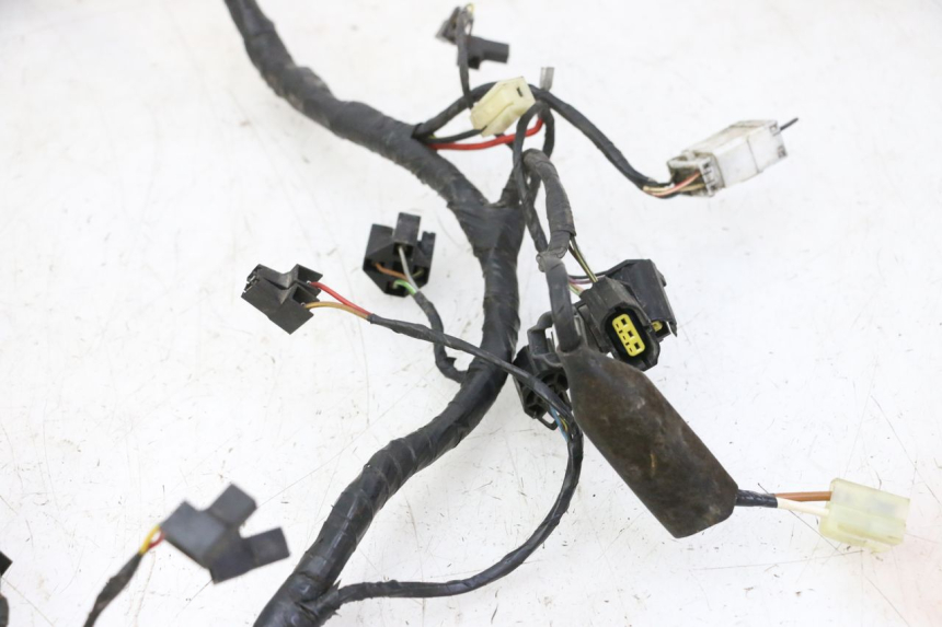 photo de WIRE HARNESS TRIUMPH SPRINT 900 (1995 - 1998) - Zoom on usage condition