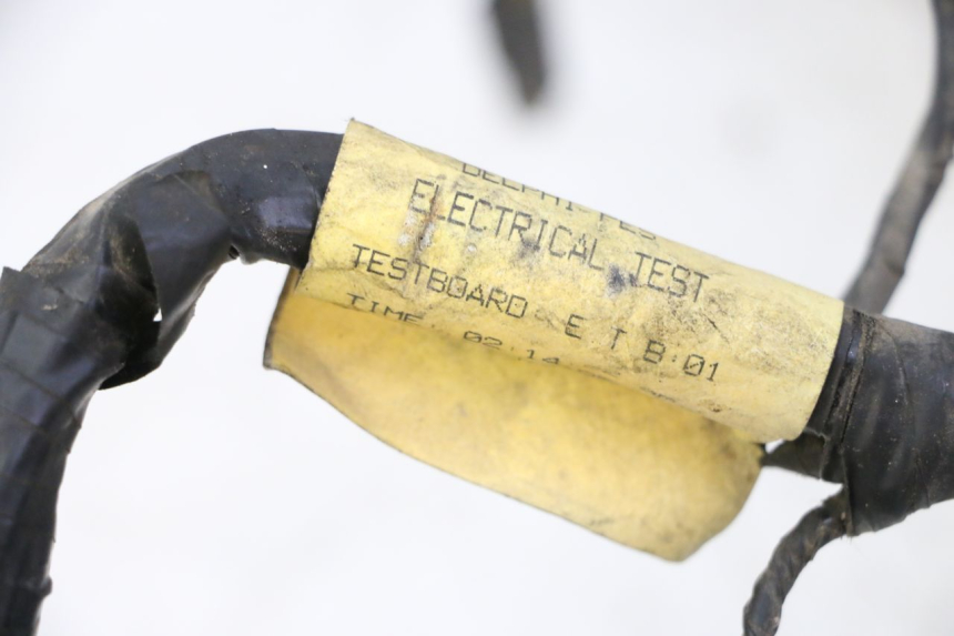 photo de WIRE HARNESS TRIUMPH SPRINT 900 (1995 - 1998) - Technical close-up