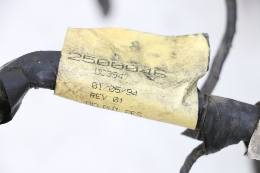 photo de WIRE HARNESS TRIUMPH SPRINT 900 (1995 - 1998) - Product overview