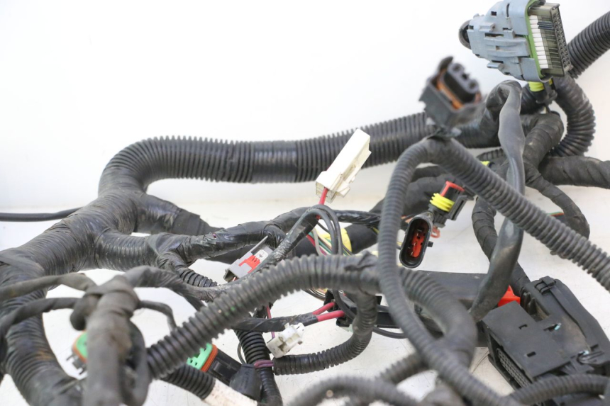 photo de WIRE HARNESS CAN-AM SPYDER RS 1000 (2008 - 2012) - Component detail