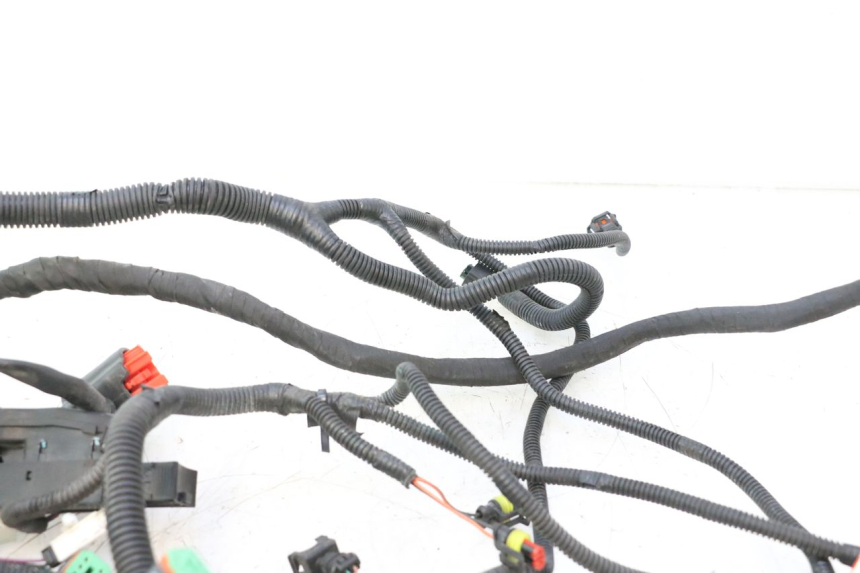 photo de WIRE HARNESS CAN-AM SPYDER RS 1000 (2008 - 2012) - Fixing points details