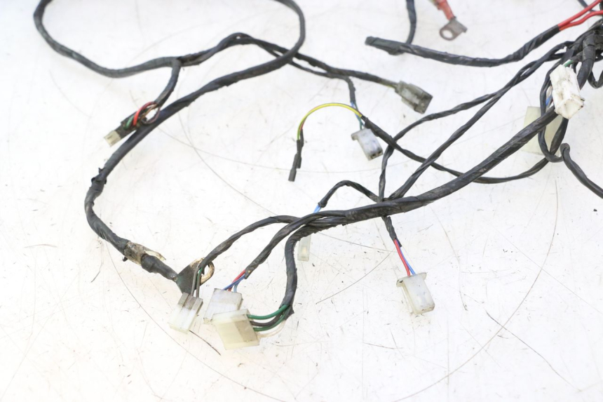 photo de WIRING HARNESS APRILIA SR 2T 50 (2012 - 2017) - Technical close-up