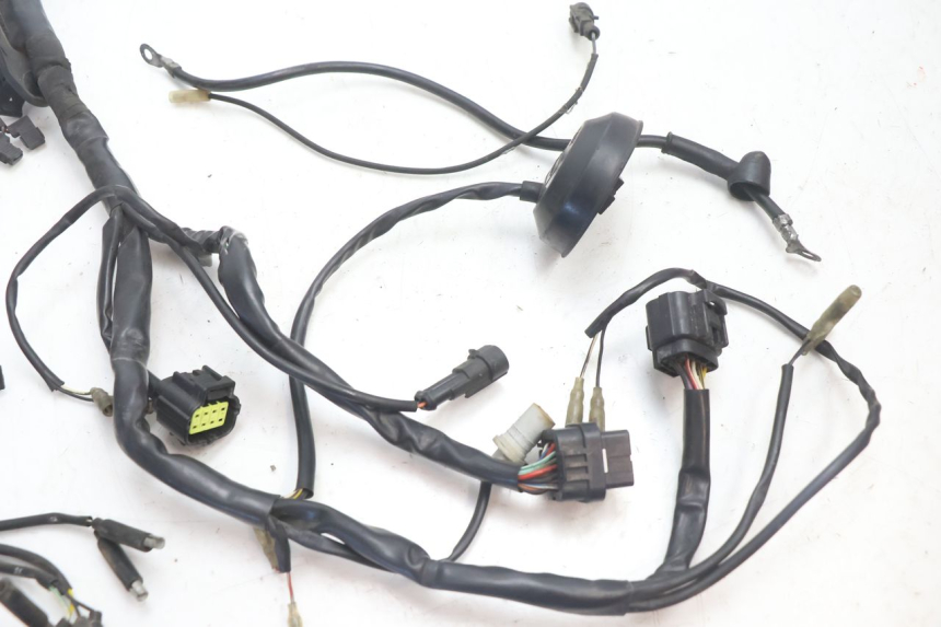photo de WIRE HARNESS DUCATI SS IE DS CARENEE 1000 (2002 - 2006) - Component detail