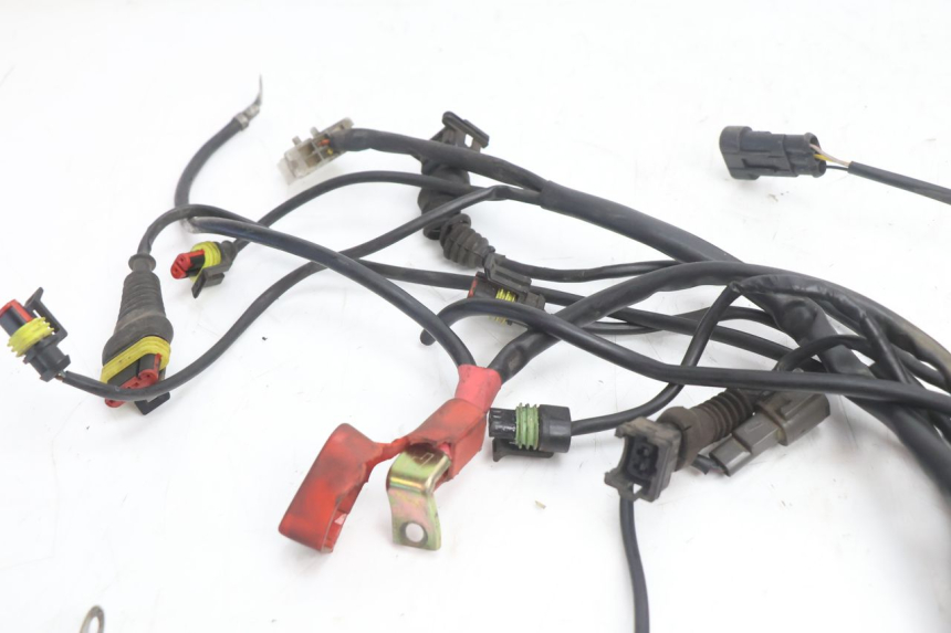 photo de WIRE HARNESS DUCATI SS IE DS CARENEE 1000 (2002 - 2006) - Fixing points details