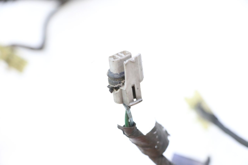 photo de WIRE HARNESS HONDA ST PAN EUROPEAN 1100 (1990 - 2002) - Technical close-up