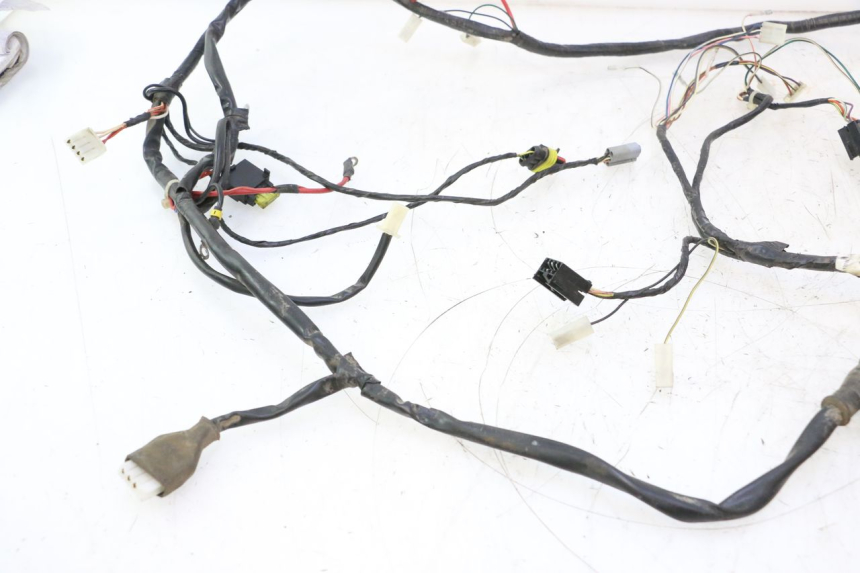 photo de WIRE HARNESS GILERA STALKER 50 (2004 - 2014) - Checked used part