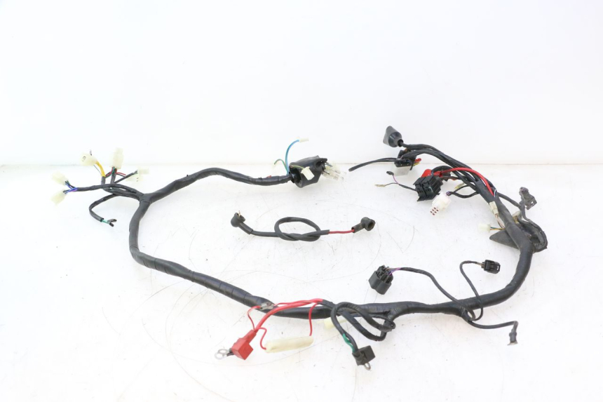 photo de WIRE HARNESS VASTRO STREET S 50 (2016 - 2021) - Product overview
