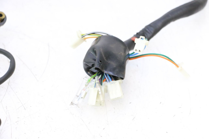 photo de WIRE HARNESS VASTRO STREET S 50 (2016 - 2021) - Markings and original references
