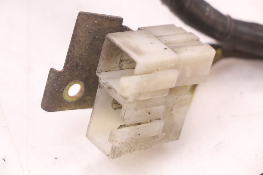 photo de WIRE HARNESS KYMCO SUPER 8 4T 50 (2021 - 2024) - High-resolution close-up