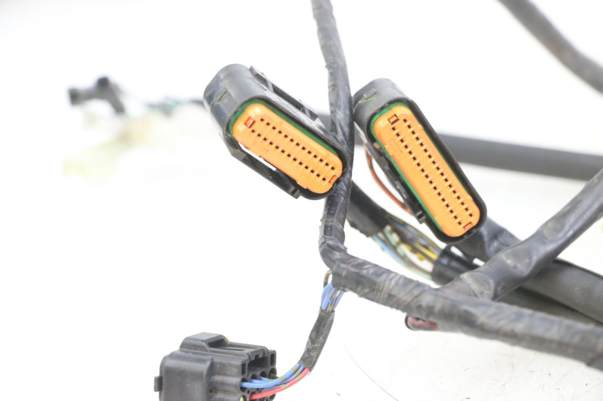 photo de WIRE HARNESS SUZUKI GSX F GSXF 650 (2007 - 2015) - Zoom on usage condition