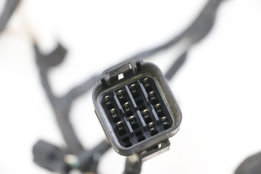 photo de WIRE HARNESS SUZUKI GSX F GSXF 650 (2007 - 2015) - Product overview