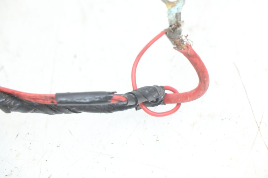photo de WIRING HARNESS PEUGEOT SV 125 (1991 - 1994) - Component detail