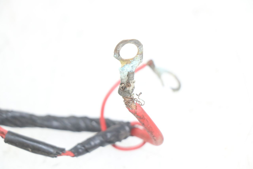 photo de WIRING HARNESS PEUGEOT SV 125 (1991 - 1994) - Zoom on usage condition
