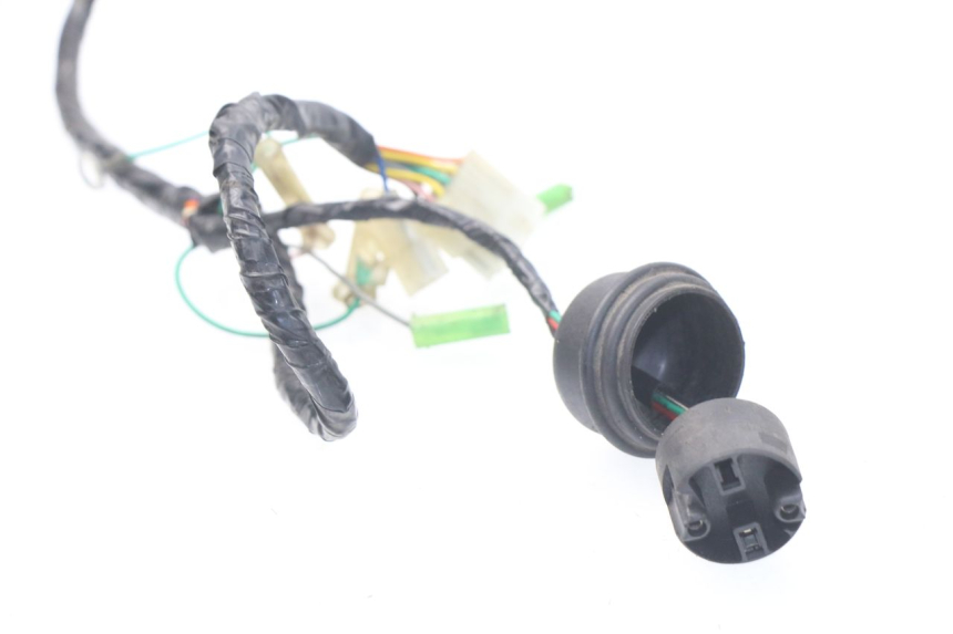 photo de WIRE HARNESS PEUGEOT SV 50 (1992 - 2004) - Component detail