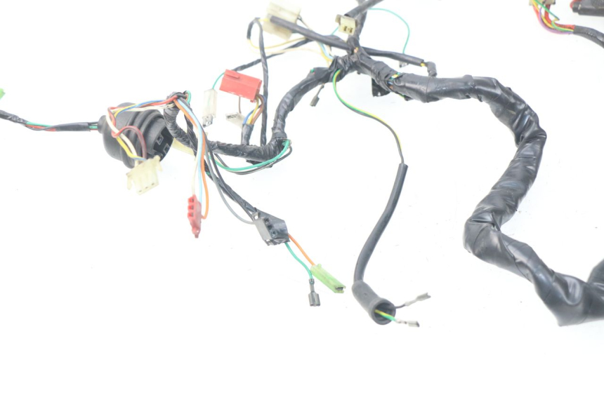 photo de WIRE HARNESS PEUGEOT SV 50 (1992 - 2004) - Fixing points details