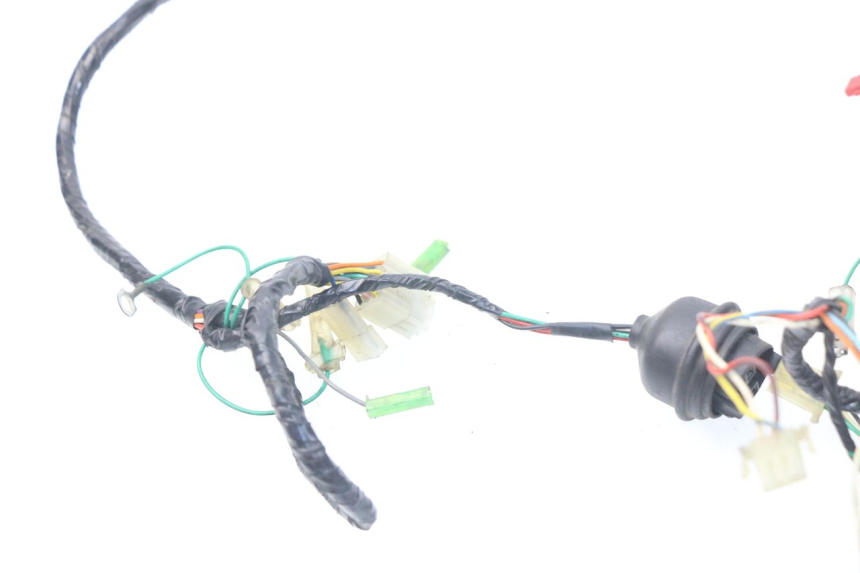 photo de WIRE HARNESS PEUGEOT SV 50 (1992 - 2004) - Surface and material condition