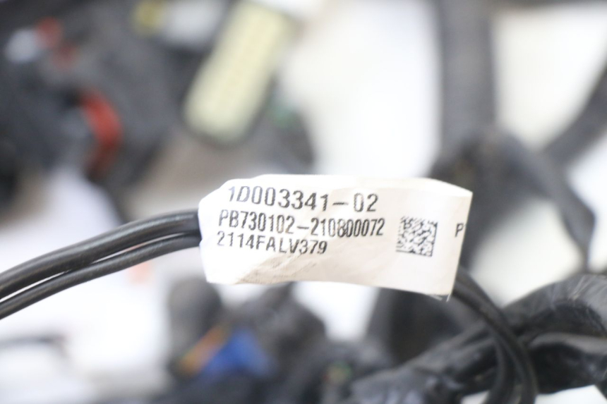 photo de WIRING HARNESS APRILIA SXR 50 (2021 - 2023) - Component detail