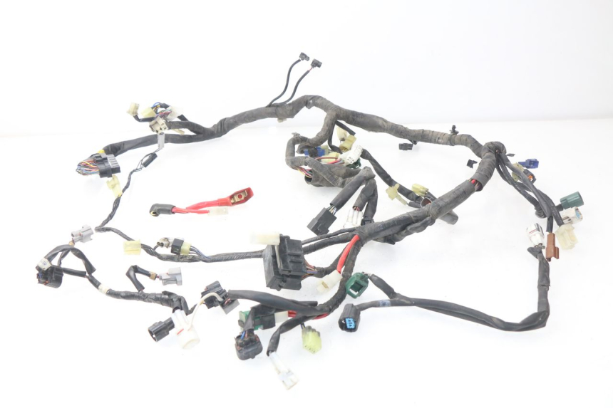 photo de WIRE HARNESS YAMAHA TDM ABS 900 (2002 - 2014) - Main view