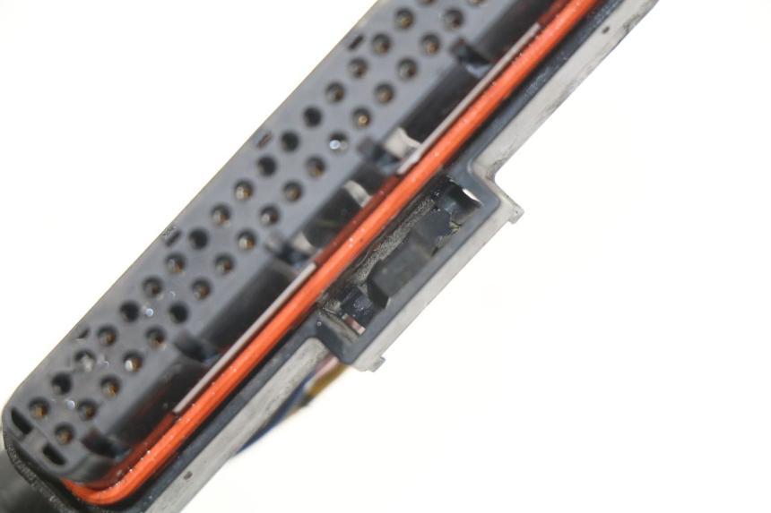 photo de WIRE HARNESS YAMAHA TDM ABS 900 (2002 - 2014) - Alternative perspective