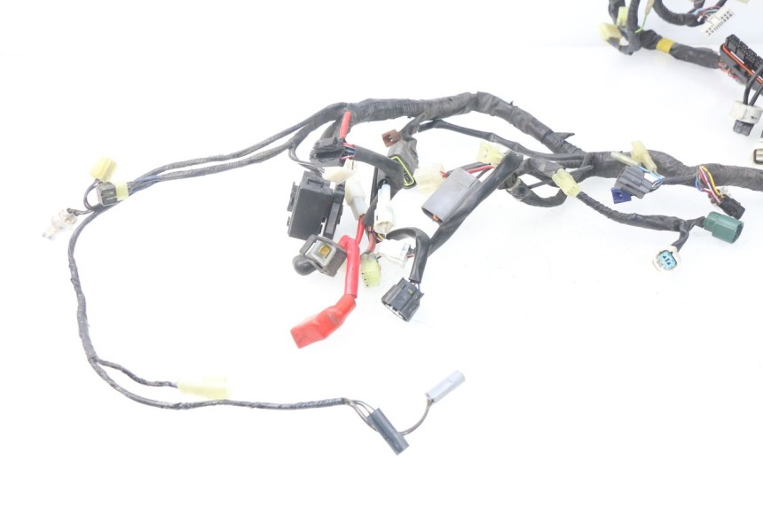 photo de WIRE HARNESS YAMAHA TDM ABS 900 (2002 - 2014) - Technical close-up