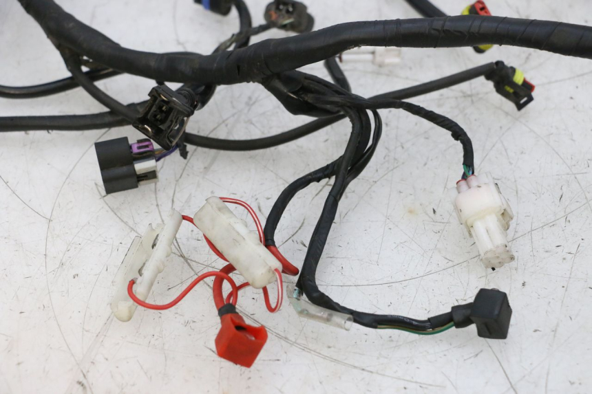 photo de WIRE HARNESS NECO TEMPO 4T 50 (2022 - 2026) - Product overview