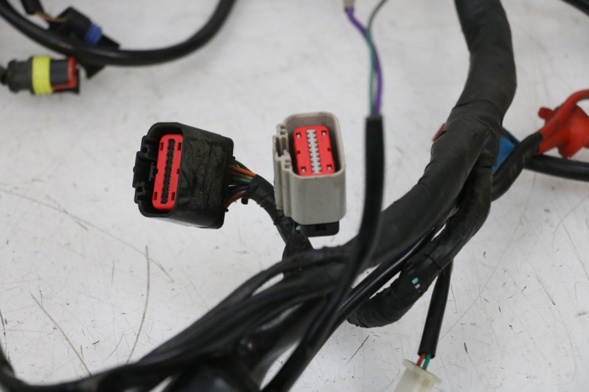photo de WIRE HARNESS NECO TEMPO 4T 50 (2022 - 2026) - Surface and material condition