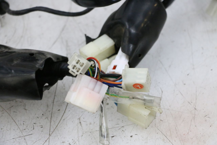 photo de WIRE HARNESS NECO TEMPO 4T 50 (2022 - 2026) - Checked used part