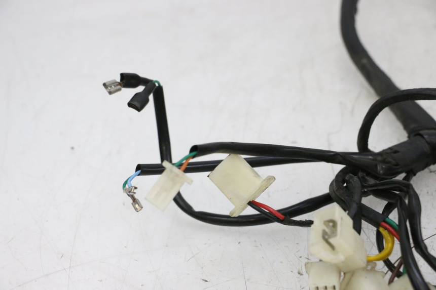 photo de WIRE HARNESS NECO TEMPO 4T 50 (2022 - 2026) - Markings and original references