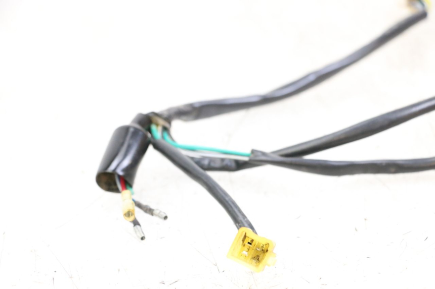 photo de WIRE HARNESS NITRO MOTORS THUNDER 125 - Zoom on usage condition
