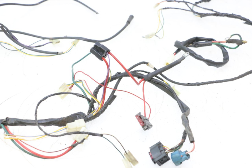 photo de WIRING HARNESS PEUGEOT TKR TREKKER FURIOUS 50 (2005 - 2014) - Component detail