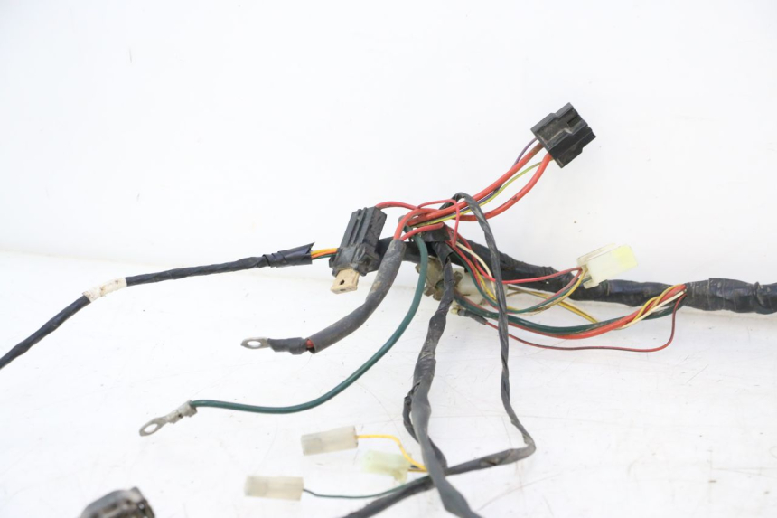photo de WIRING HARNESS PEUGEOT TKR TREKKER FURIOUS 50 (2005 - 2014) - Distinctive features