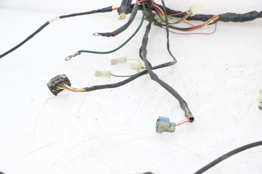 photo de WIRING HARNESS PEUGEOT TKR TREKKER FURIOUS 50 (2005 - 2014) - Component zoom