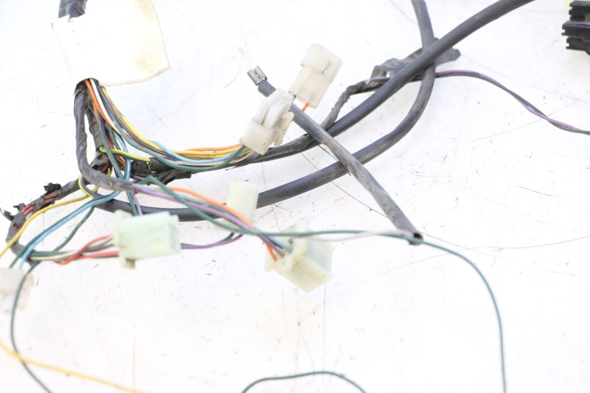 photo de WIRING HARNESS PEUGEOT TKR TREKKER FURIOUS 50 (2005 - 2014) - Alternative perspective