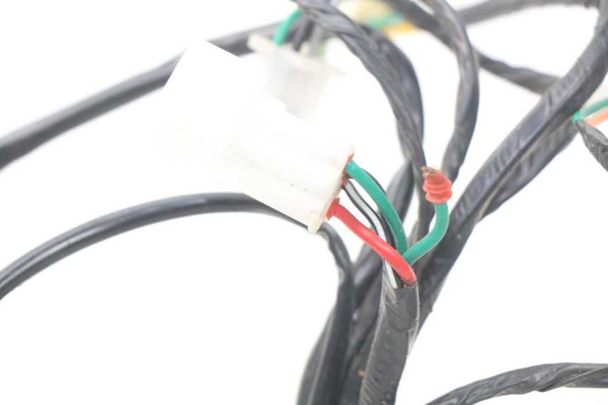 photo de WIRE HARNESS BAOTIAN TRAVEL SPIRIT 50 (2010 - 2012) - Component detail