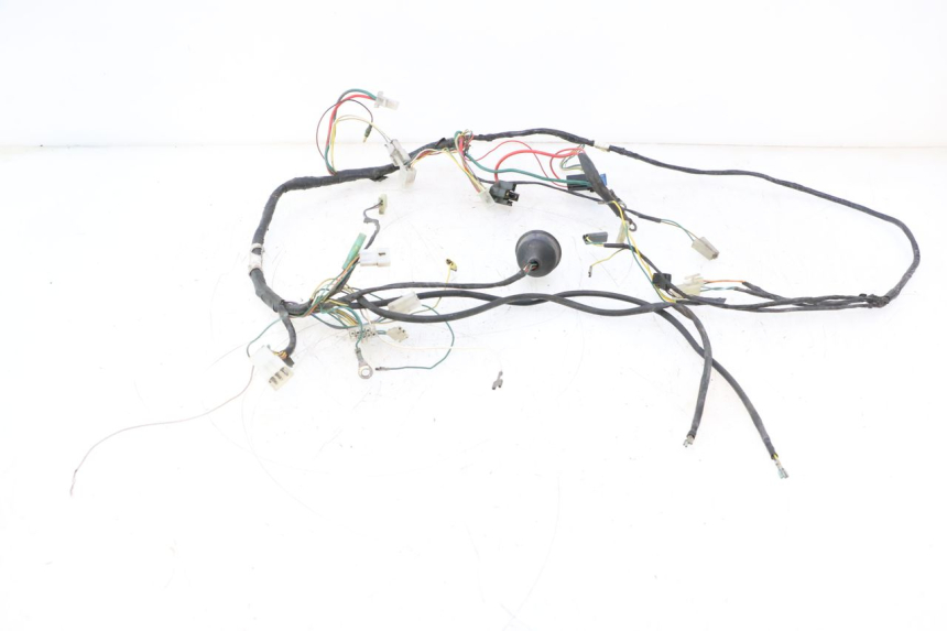 photo de WIRING HARNESS PEUGEOT TREKKER 50 (1995 - 2004) - Main view